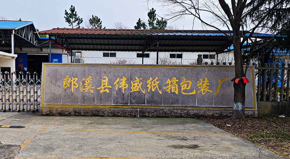 郎溪县伟盛纸箱包装厂-余盛丰重型纸箱包装官网